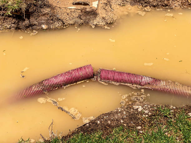 Carpet water damage restoration in Conway, FL